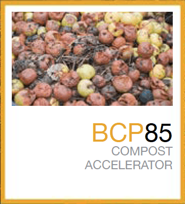 BCP85