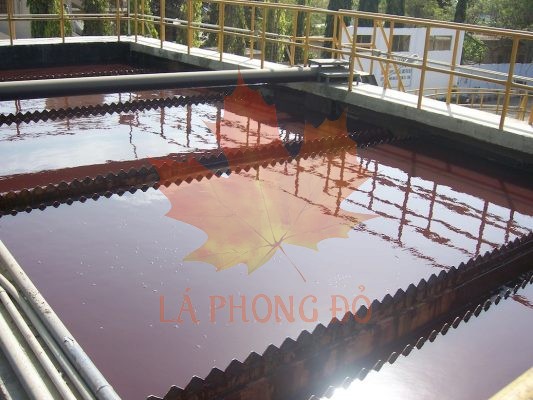 xu-ly-nuoc-thai-det-duom-5-533x400