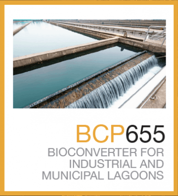 BCP655_product