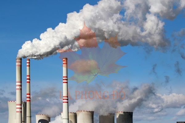 XỬ LÝ MÙI HÔI KHÍ THẢI CÔNG NGHIỆP