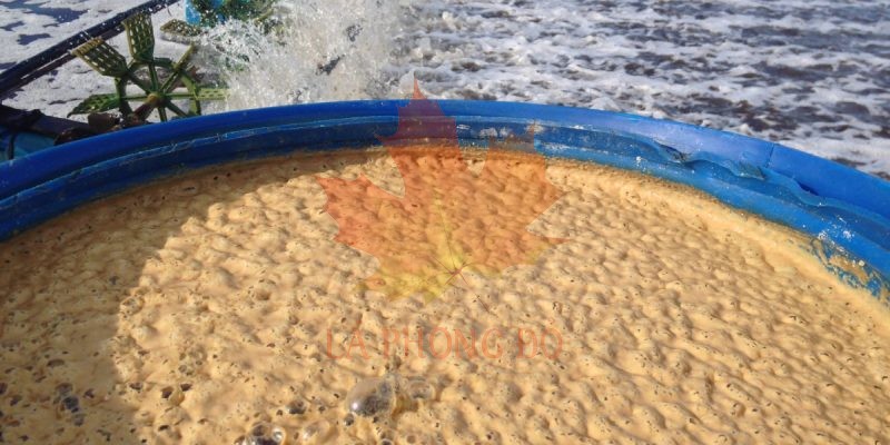 men-vi-sinh-xu-ly-nuoc-thai