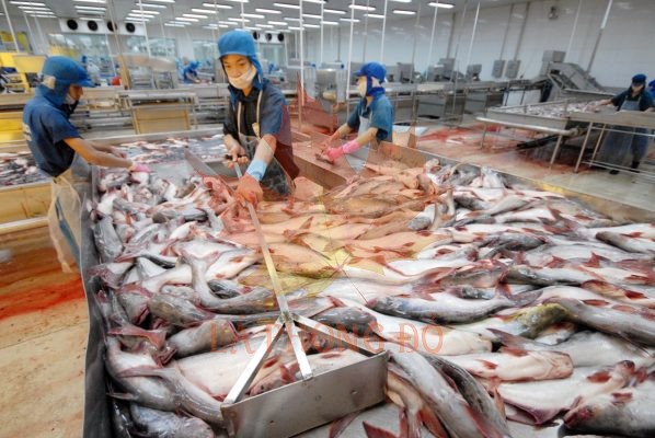 phan-tich-nuoc-thai-cong-nghiep-che-bien-thuy-san