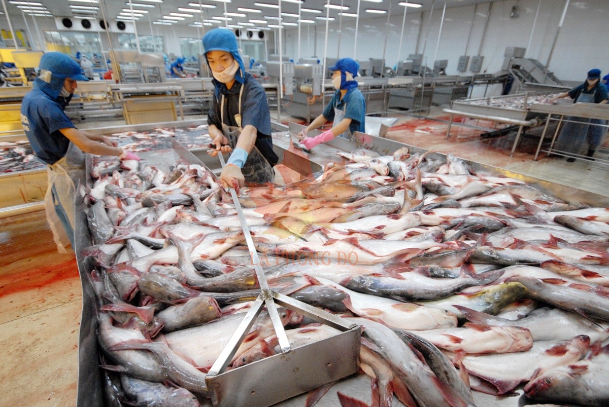 phan-tich-nuoc-thai-cong-nghiep-che-bien-thuy-san