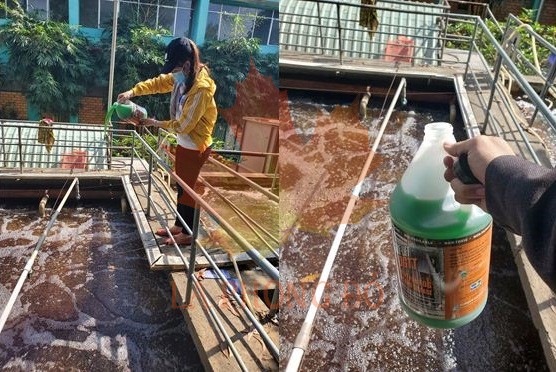 vi-sinh-dang-long-microbelift